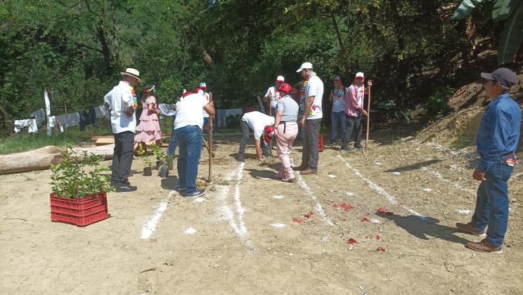 Plantación de árboles en espacios comunitarios. Proyecto Da luz y bienestar.